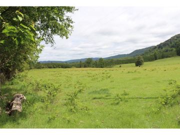 Campo Sector Relún Camino A Los Copihues 44ha