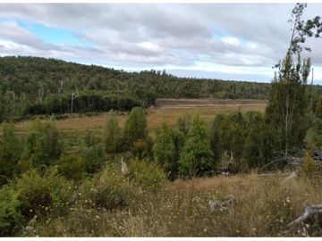 Parcela Con Bosque Nativo En Quemchi - Austral Partners