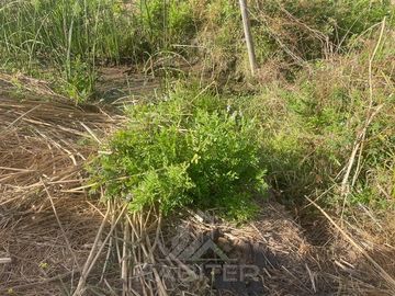Parcela en Venta en QUICHARCO