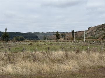 Parcela en Venta en Fundo Miramar, Arauco