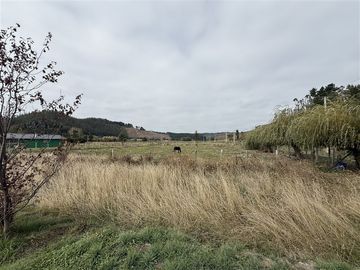 Parcela en Venta en Fundo Miramar, Arauco