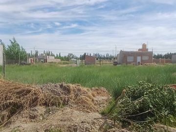 LOTEO EN INGENIERO HUERGO