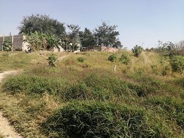 EN VENTA, PREDIO EL ARROYO EN SAN MARTIN DE LAS FLORES, SAN PEDRO TLAQUEPAQUE; JAL.