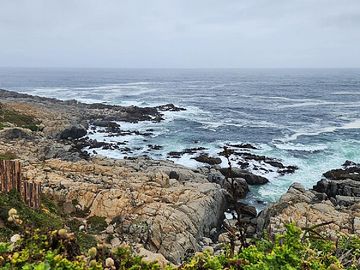 PUNTA DE TRALCA