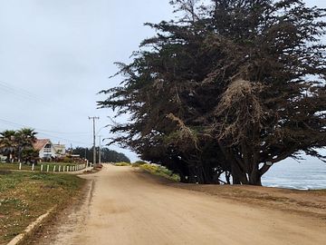 PUNTA DE TRALCA