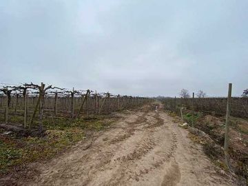 Parcela en venta en PAINE