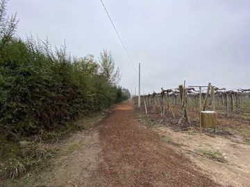 Parcela en venta en PAINE