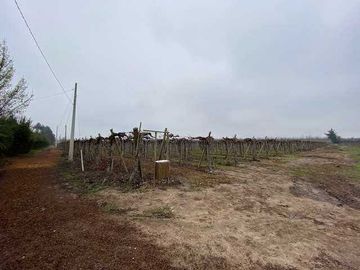 Parcela en venta en PAINE