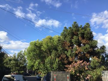 VENTA EN LOTEO PROSPERIDAD SECTOR NORTE DE TALCA
