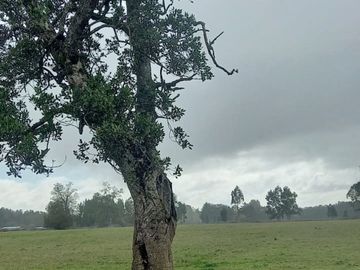 Oportunidad única: terreno de 4,8 hectáreas en zona estratégica