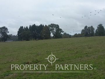 Oportunidad única: terreno de 4,8 hectáreas en zona estratégica