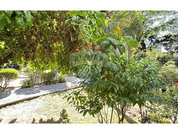 Encantador dpto - Providencia - 4D 3B 1Est