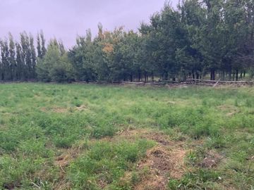 VENTA DE CHACRA EN SENILLOSA