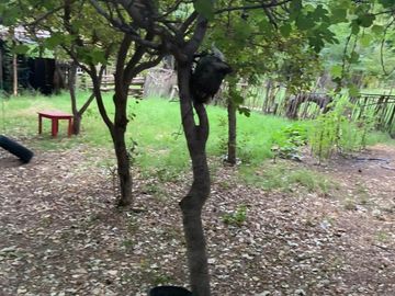 VENTA DE CHACRA EN SENILLOSA