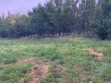 VENTA DE CHACRA EN SENILLOSA