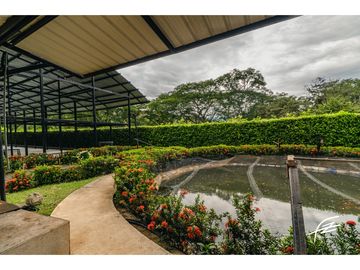 FINCA EN VENTA EN SOPETRN, ANTIOQUIA