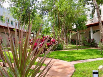 ¡Tu hogar con roof garden en Playa del Carmen te espera!