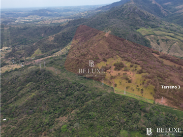VENDO TERRENO FINCA MADURO EN CHAME (1)