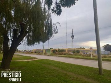 Don Bosco Nº 3000