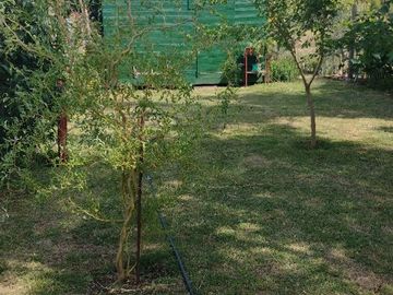 Casa quinta en venta de 700m2 ubicado en Chascomús