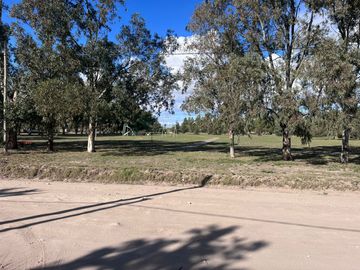 Casa quinta en venta de 5366m2 ubicado en Los Chañares