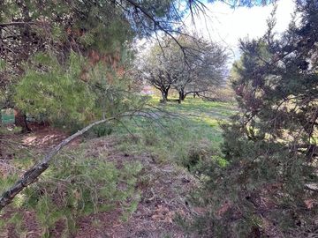 Casa quinta en venta de 5366m2 ubicado en Los Chañares