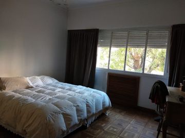 Darregueira 33
