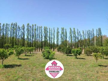 CHACRA EN VENTA - BARRIO CERRADO - ALSINA