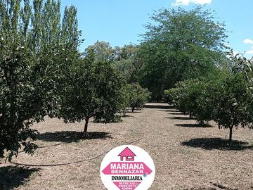CHACRA EN VENTA - BARRIO CERRADO - ALSINA