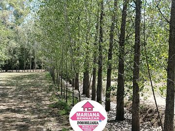 CHACRA EN VENTA - BARRIO CERRADO - ALSINA