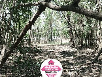 CHACRA EN VENTA - BARRIO CERRADO - ALSINA