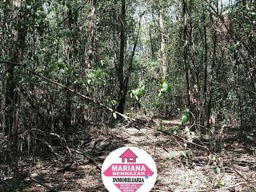 CHACRA EN VENTA - BARRIO CERRADO - ALSINA