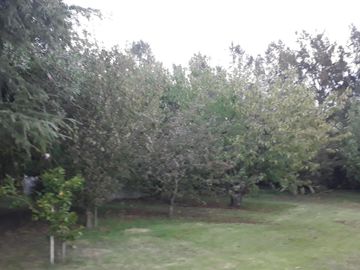 CASA QUINTA EN VENTA (O PERMUTA) EN LA SERRANITA SOBRE LOTE DE 6.540 m2 - KM. 25 DE LA RUTA 226
