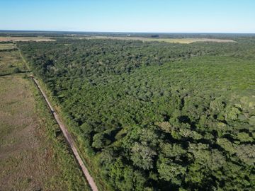 Campo en venta de 51 has. ubicado en La Verde