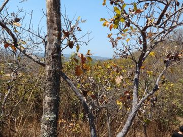 Rancho las varas