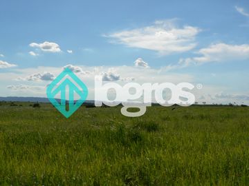 Campo en venta 1700 has apto Agrícola Ganadero Zona Joaquín V. González, Salta