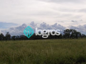 Campo en venta 1700 has apto Agrícola Ganadero Zona Joaquín V. González, Salta