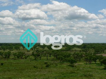 Campo en venta 1700 has apto Agrícola Ganadero Zona Joaquín V. González, Salta