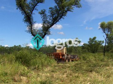 Campo en venta 1700 has apto Agrícola Ganadero Zona Joaquín V. González, Salta