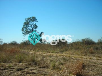Campo en venta 1700 has apto Agrícola Ganadero Zona Joaquín V. González, Salta