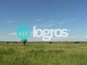 Campo en venta 1700 has apto Agrícola Ganadero Zona Joaquín V. González, Salta