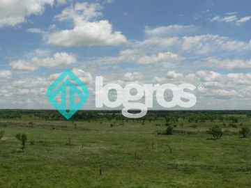 Campo en venta 1700 has apto Agrícola Ganadero Zona Joaquín V. González, Salta