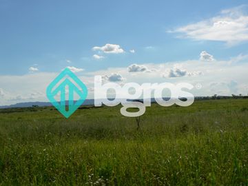 Campo en venta 1700 has apto Agrícola Ganadero Zona Joaquín V. González, Salta