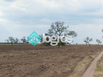 Campo en venta 1700 has apto Agrícola Ganadero Zona Joaquín V. González, Salta