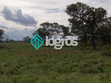 Campo en venta 1700 has apto Agrícola Ganadero Zona Joaquín V. González, Salta
