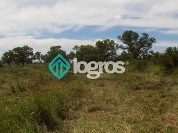 Campo en venta 1700 has apto Agrícola Ganadero Zona Joaquín V. González, Salta