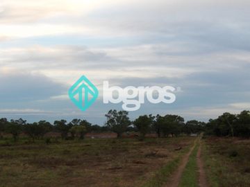 Campo en venta 1700 has apto Agrícola Ganadero Zona Joaquín V. González, Salta