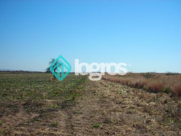 Campo en venta 1700 has apto Agrícola Ganadero Zona Joaquín V. González, Salta