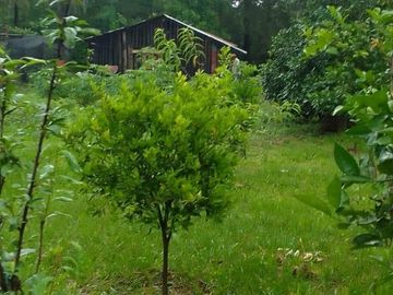 Casa quinta en venta de 1200m2 ubicado en Ituzaingó
