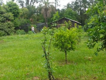 Casa quinta en venta de 1200m2 ubicado en Ituzaingó